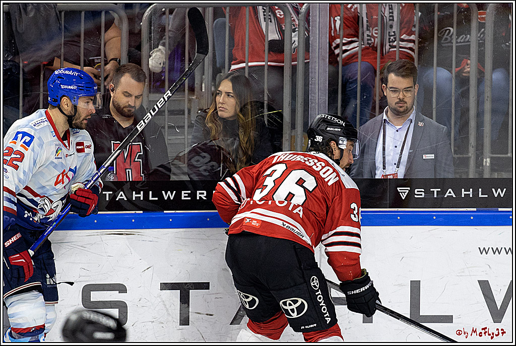 PENNY DEL;  Kölner Haie - Adler Mannheim; Köln, 04.11.2022